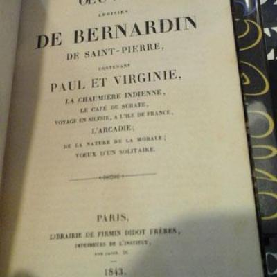 Bernardindesaint